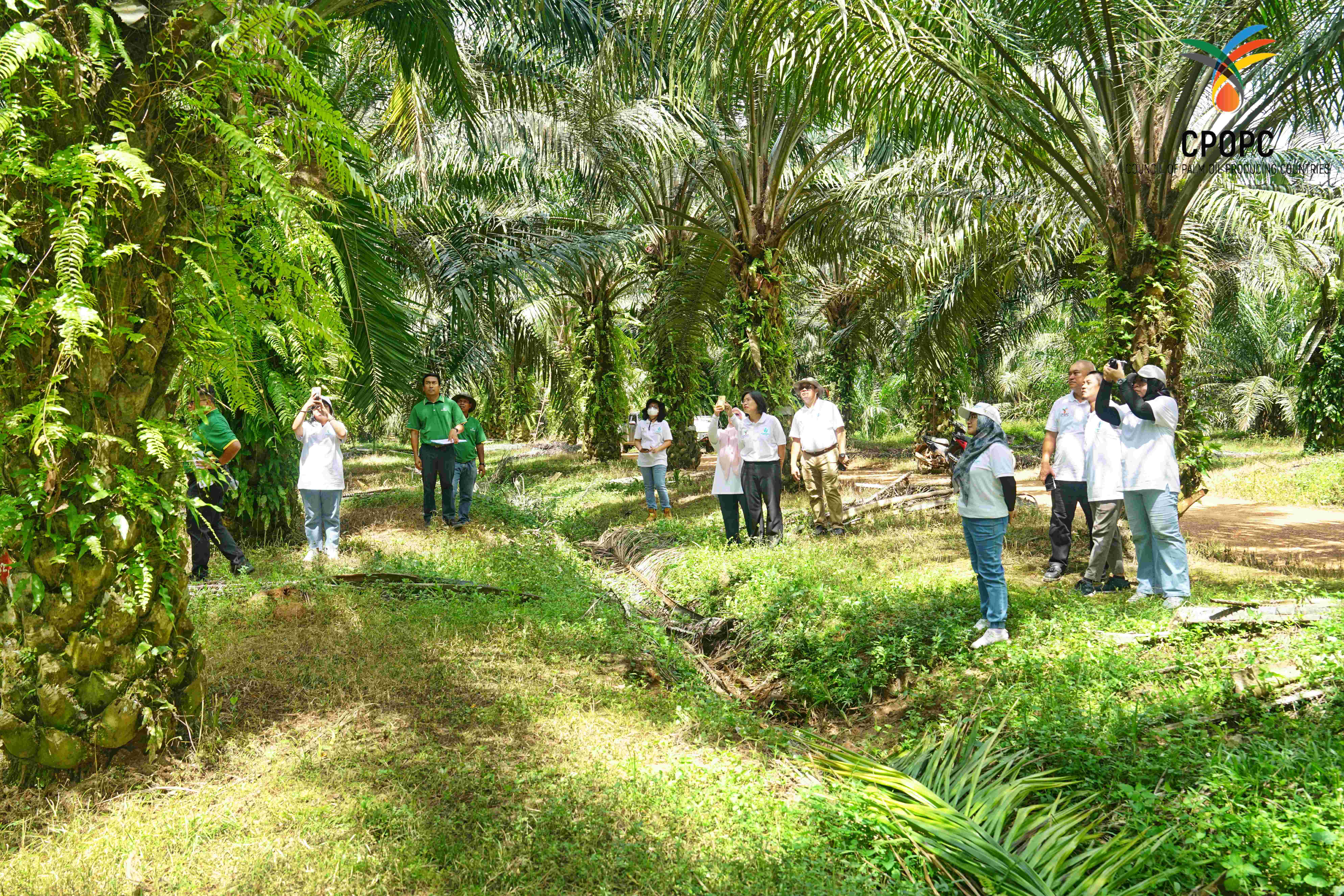 Technical Visit & Capacity Development in Krabi & Phuket, Thailand CPOPC.net